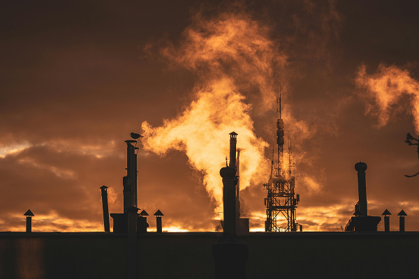 Amplio catálogo de combustibles, con soluciones personalizadas